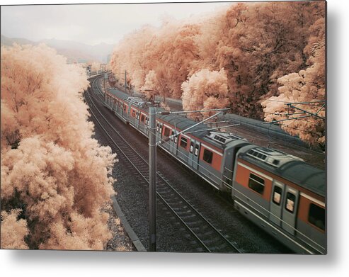 Train Metal Print featuring the photograph Train by D3sign
