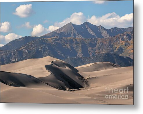 Dunes Metal Print featuring the photograph Transitions by Jim Garrison