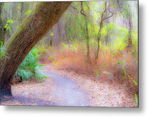 Nature Metal Print featuring the photograph Traveled Paths by Joe Leone