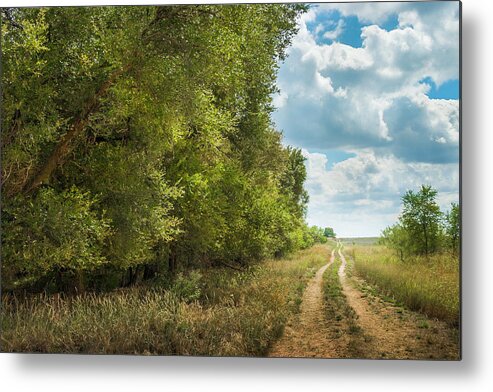 Scenics Metal Print featuring the photograph Tree-lined West Texas Meandering Dirt by Dszc