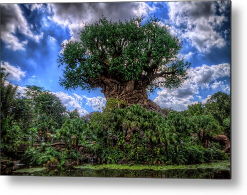 Brad Granger Metal Print featuring the photograph Tree Of Life by Brad Granger