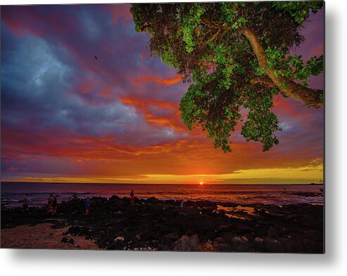 Hawaii Metal Print featuring the photograph Tree Sea and Sun by John Bauer
