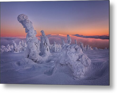 Frost Metal Print featuring the photograph Trees In Frost by Martin Morvek