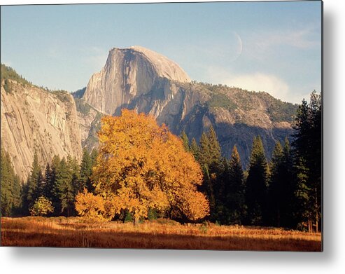 Scenics Metal Print featuring the photograph Trees On A Mountain, El Capitan by Medioimages/photodisc