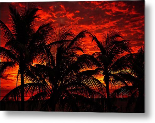 Lighthouse Cove Resort Metal Print featuring the photograph Tropical Sunrise by Meta Gatschenberger