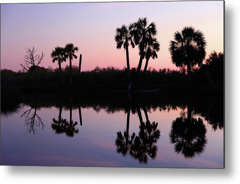 Water's Edge Metal Print featuring the photograph Tropical Sunset by Denistangneyjr