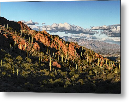 Tucson Metal Print featuring the photograph Tucson Mountains Light Play by Chance Kafka