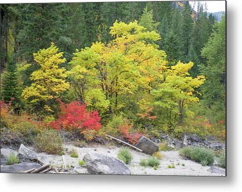 Autumn Metal Print featuring the photograph Tumwater Canyon by Joan Septembre