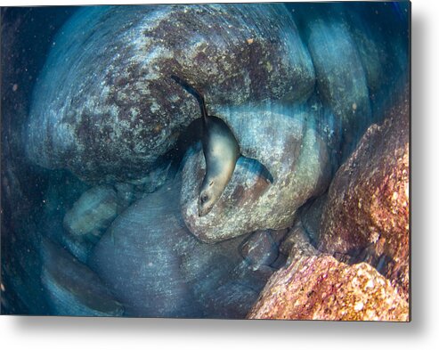 Sea Metal Print featuring the photograph Turn Around by Andrea Izzotti