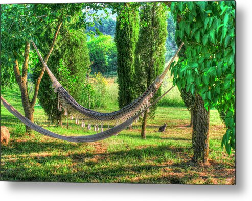 Hdr Photography Metal Print featuring the photograph Tuscan Hammocks And Cat by Robert Goldwitz