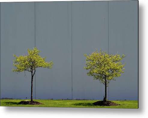 Urban Metal Print featuring the photograph Two Trees by Stuart Allen