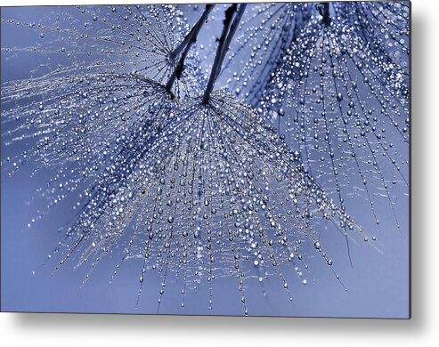 Achenes Metal Print featuring the photograph Umbrellas... by Thierry Dufour
