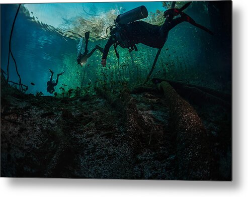 Underwater Metal Print featuring the photograph Underwater Jungle by Jennifer Lu