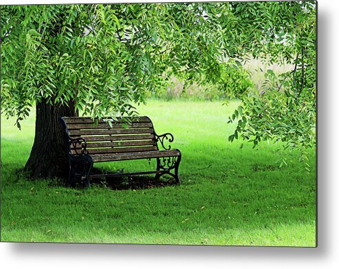 Bench Metal Print featuring the photograph Unwind Under The Walnut Tree by Debbie Oppermann