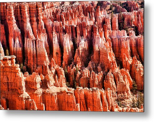 Bryce Canyon Metal Print featuring the photograph Up Close Hoodoo's Utah by Chuck Kuhn