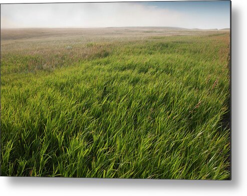 Grass Metal Print featuring the photograph Usa, South Dakota, Prairie Grass In by Tetra Images