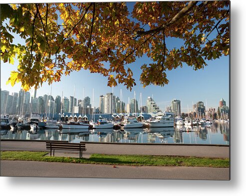 Downtown District Metal Print featuring the photograph Vancouver Stanley Park by Mysticenergy