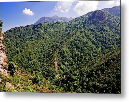 Scenics Metal Print featuring the photograph Vegetated Mountains In Eastern Corsica by Fcremona
