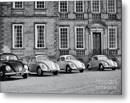 Vw Metal Print featuring the photograph Vintage Beetles by Tim Gainey