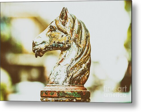 Horse Metal Print featuring the photograph Vintage New Orleans II by Scott Pellegrin