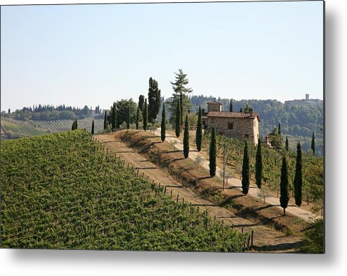 Italian Currency Metal Print featuring the photograph Volpaia Vineyard by Rolphus