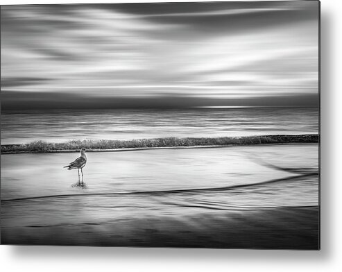 Birds Metal Print featuring the photograph Waiting for the Sun Dreamscape in Black and White by Debra and Dave Vanderlaan