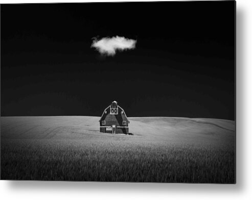 Rye
Wheat 
Wheat Field
Land
Barn
Usa Metal Print featuring the photograph Watcher In The Rye by Tony Xu