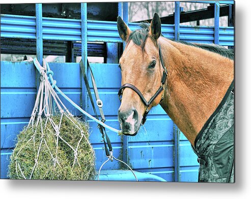 Appaloosa Metal Print featuring the photograph Weekend Hack by Dressage Design