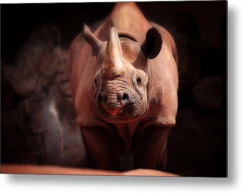 Animal Metal Print featuring the photograph What's Going On? by Antje Wenner-braun