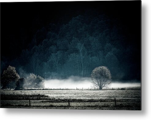 Landscape Metal Print featuring the photograph White Mist by Philippe Sainte-Laudy