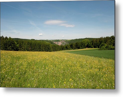 Tranquility Metal Print featuring the photograph Wildflower Field by Thomas Winz
