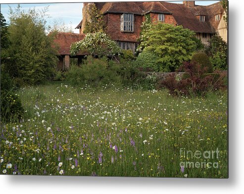 Wildflower Metal Print featuring the photograph Wildflower Meadow, Great Dixter by Perry Rodriguez