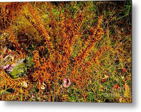 Willow In The Wind Metal Print featuring the photograph Willow in the Wind by Barbra Telfer