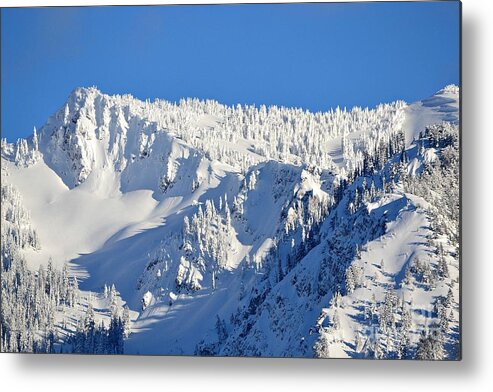 Snow Metal Print featuring the photograph Winter by Dorrene BrownButterfield