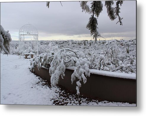 Winter Metal Print featuring the photograph Winter in Arizona No.1 by Kume Bryant