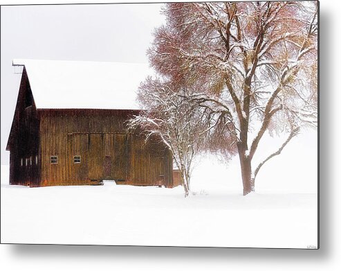 Country Scene Metal Print featuring the photograph Winter In The Country by Dee Browning