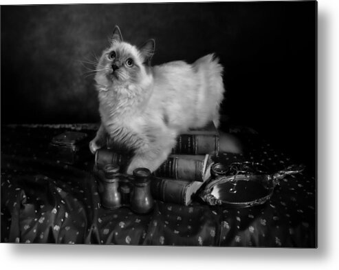  Metal Print featuring the photograph With Chanoine In Mind by Lidia Vanhamme