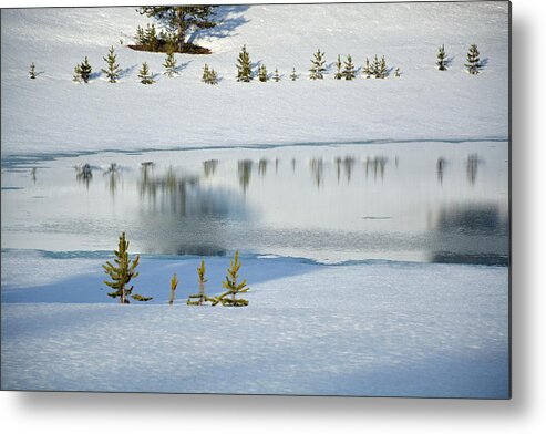 Yellowstone Metal Print featuring the photograph Yellowstone's Divide Lake and Reflections in Deep Winter by Bruce Gourley