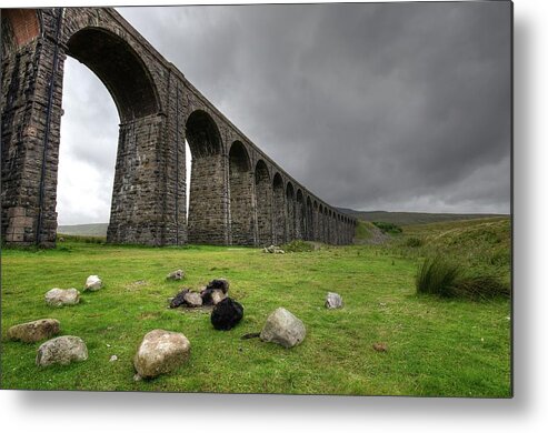 Tranquility Metal Print featuring the photograph Yorkshire Voodoo by Jon Parkes Photography