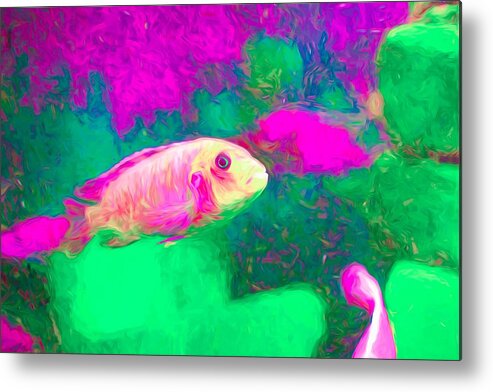African Cichlid Metal Print featuring the digital art Zebra Cichlid Pink Neon by Don Northup