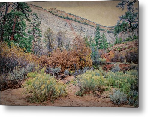 Zion Metal Print featuring the photograph Zions Garden by Jim Cook