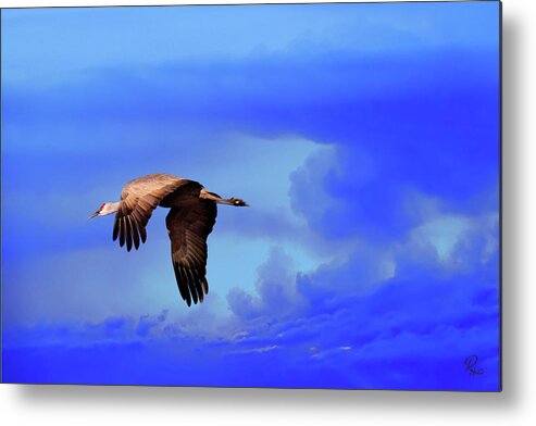 Wildlife Metal Print featuring the photograph Against The Storm by Robert Harris