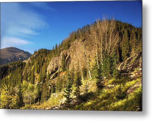 Rocky Mtn National Park Metal Print featuring the photograph Autumn in Colorado #1 by Kunal Mehra