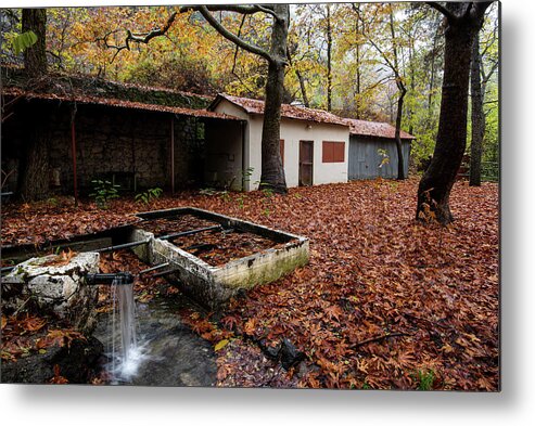 Autumn Metal Print featuring the photograph Autumn Landscape by Michalakis Ppalis
