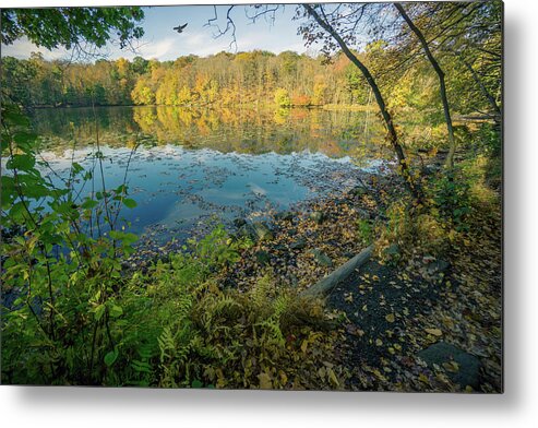 Nature Metal Print featuring the photograph Autumn View #1 by June Marie Sobrito