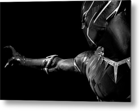 Black Metal Print featuring the photograph Black Panther #1 by Worldwide Photography