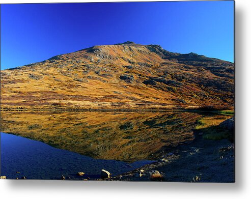 Co Metal Print featuring the photograph Colorado High Country by Doug Wittrock