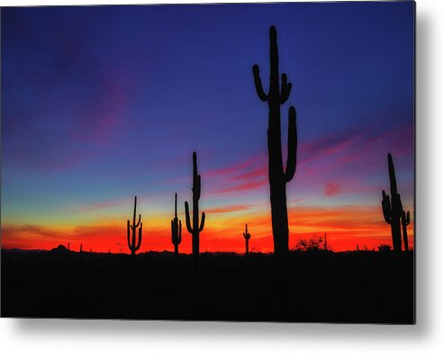 Desert Metal Print featuring the photograph Desert Sunset by Bob Falcone
