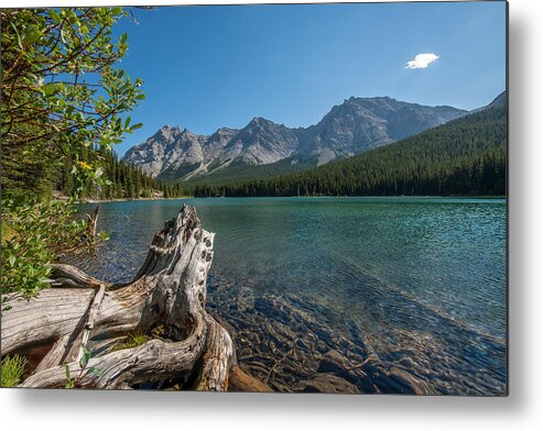 Water Metal Print featuring the photograph Driftwood at Elbow Lake #1 by Phil And Karen Rispin