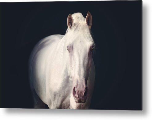 Photographs Metal Print featuring the photograph From the shadows - Horse Art #1 by Lisa Saint